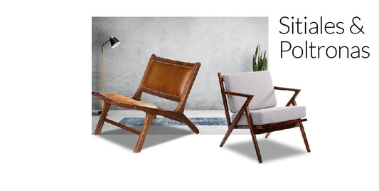 Sitiales y poltronas